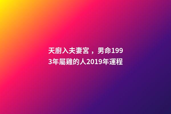 天廚入夫妻宮，男命1993年屬雞的人2019年運程-第1張-觀點-玄機派